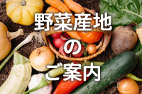 ヨシケイ野菜産地のご案内
